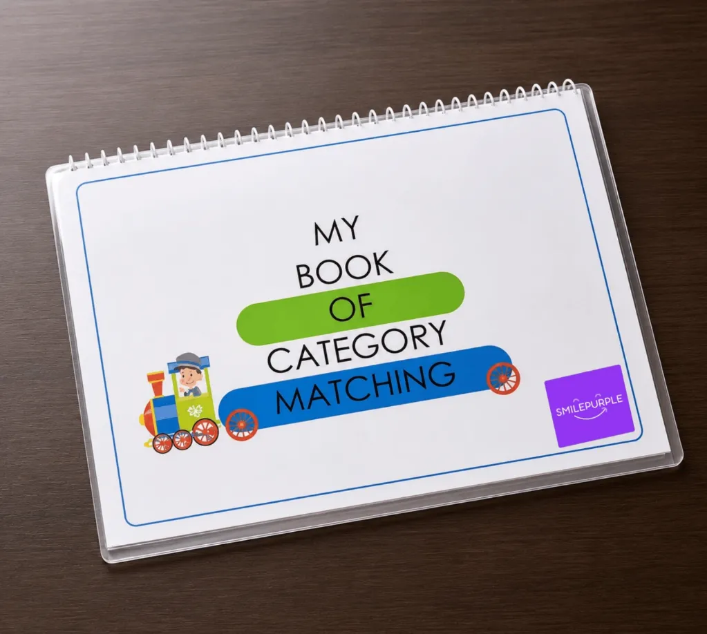 Category Matching Activity Book