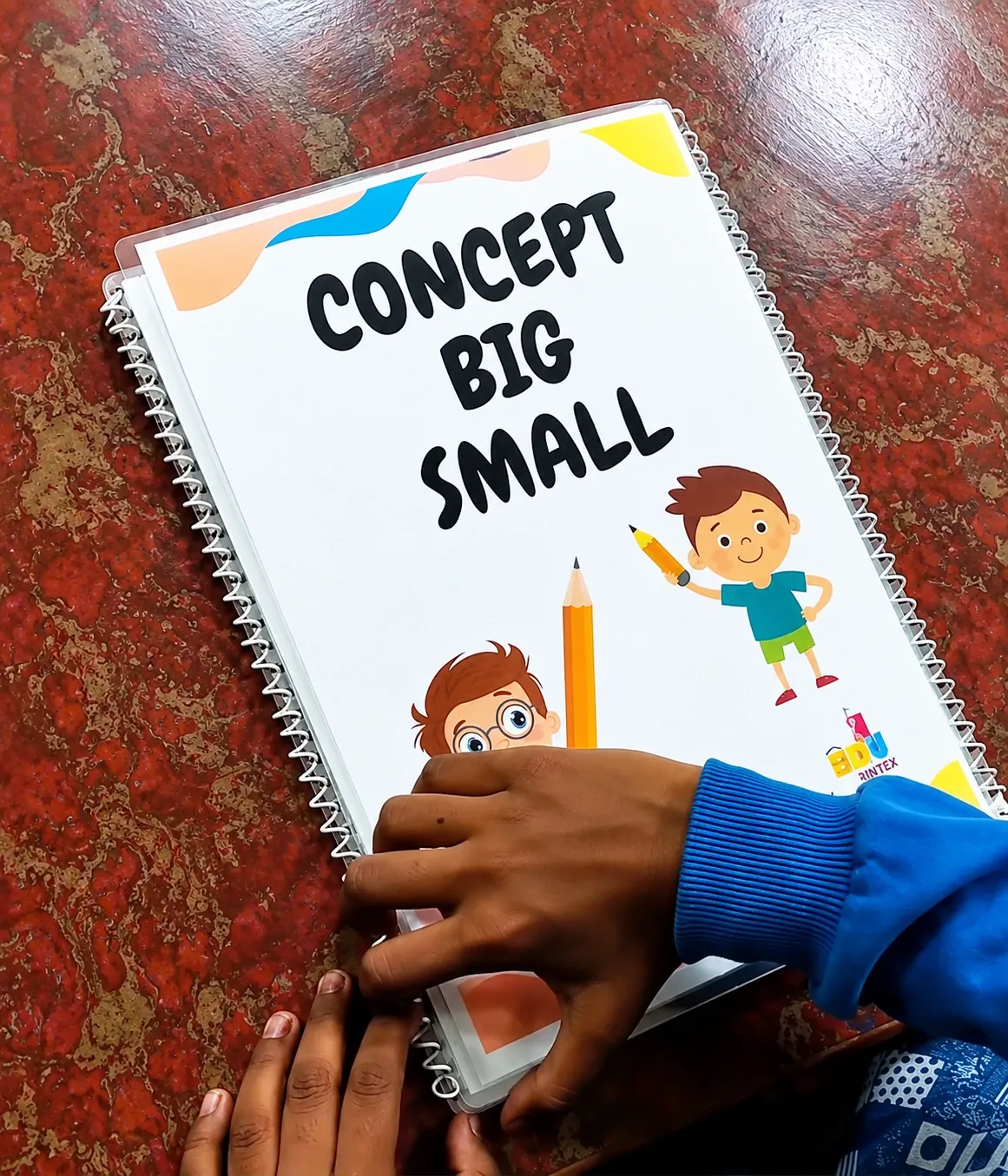 Big & Small Sorting Activity Book